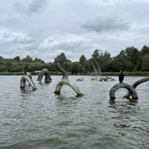 Spotlight Week - Cynefin